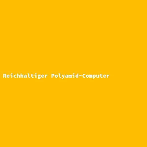 Reichhaltiger Polyamid-Computer