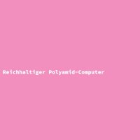 Reichhaltiger Polyamid-Computer